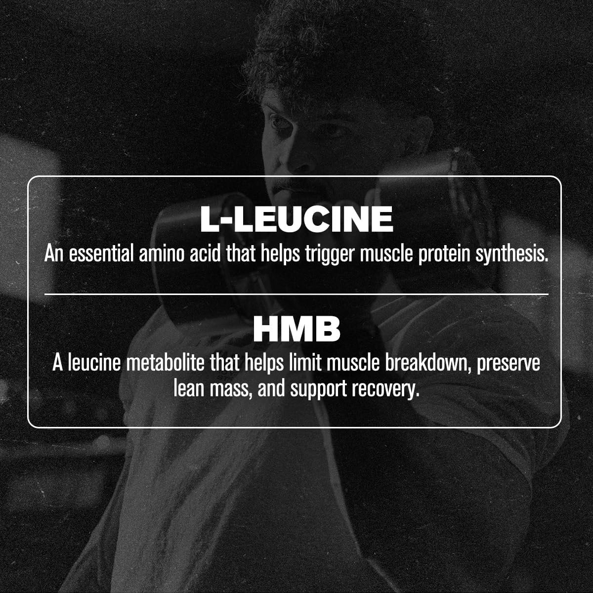 Jacked Factory HMB + Leucine Kapseln - L-Leucin 2g, HMB 1g - Stimuliere Muskelwachstum, schütze magere Muskelmasse und verbessere die sportliche Leistung - 180 Kapseln