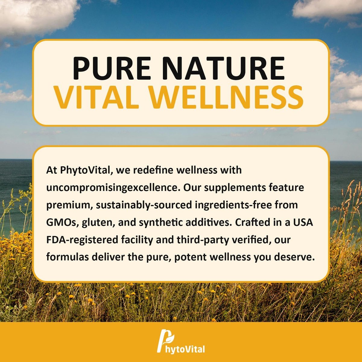 PhytoVital Kürbiskernöl mit Sägepalme Kapseln, 3000mg, 150 Softgels | Kaltgepresstes reines Jungfernöl | Essentielle Fettsäuren, Phytosterine | Immun-, Haar-, Blasen- & Prostatastütze | Non-GMO, 1 Pack