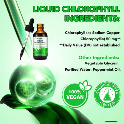 Moulis Flüssiges Chlorophyll – Tropfen zur natürlichen Körperfrische & Geruchskontrolle, 60 ml