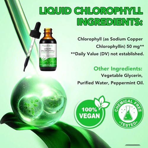 Chlorophyll Liquid Drops, Organische Chlorophyll-Tropfen zur Körperdeodorierung, Unterstützt Geruchsbalance, Natürliche Körperfrische, Körpergeruchskontrolle, Frischer Atem, 60ml 2 Flaschen