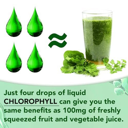 Moulis Flüssiges Chlorophyll – Tropfen zur natürlichen Körperfrische & Geruchskontrolle, 60 ml