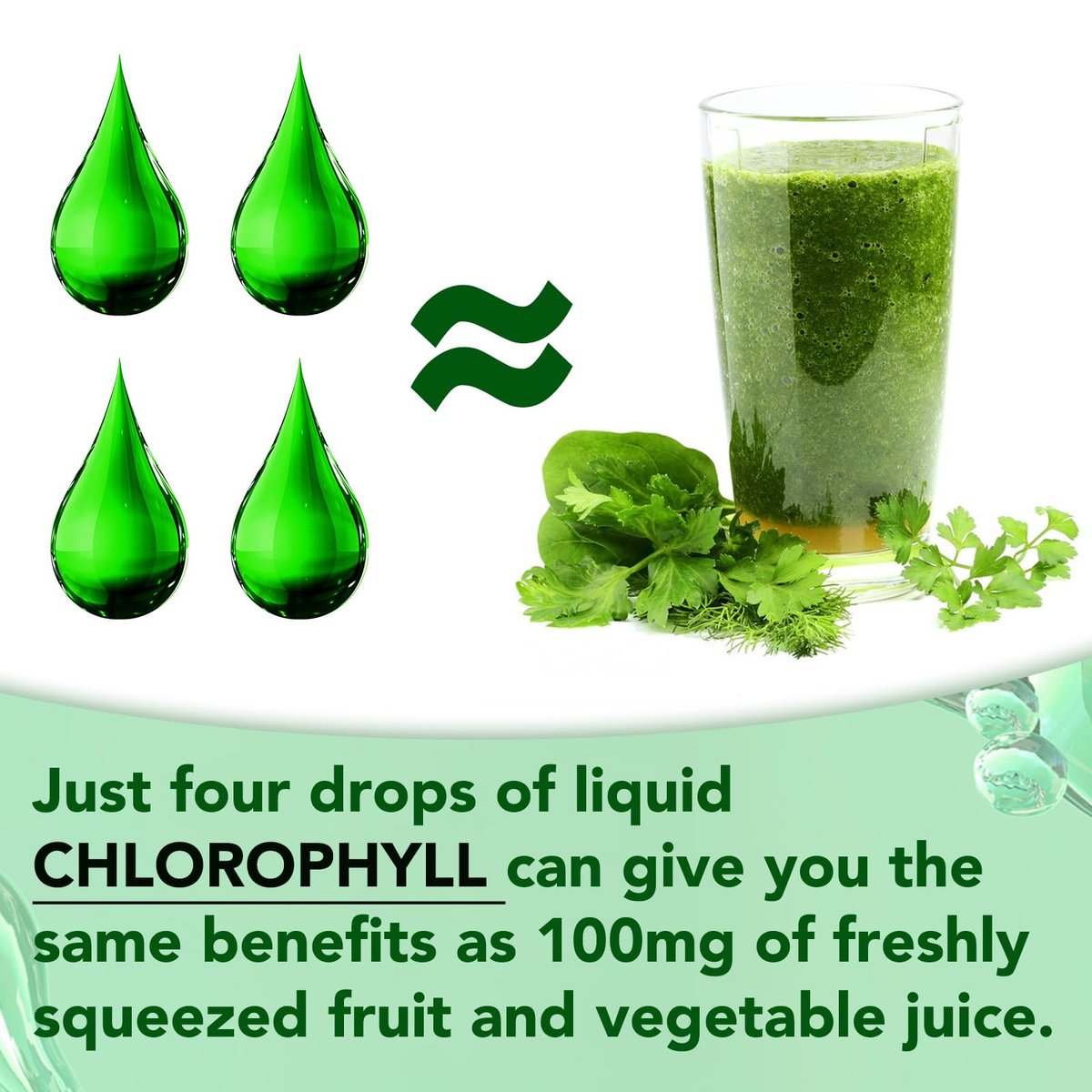 Moulis Flüssiges Chlorophyll – Tropfen zur natürlichen Körperfrische & Geruchskontrolle, 60 ml
