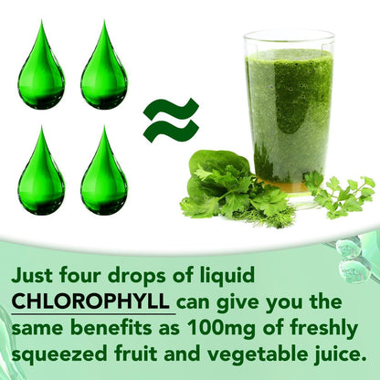 Moulis Flüssiges Chlorophyll – Tropfen zur natürlichen Körperfrische & Geruchskontrolle, 60 ml