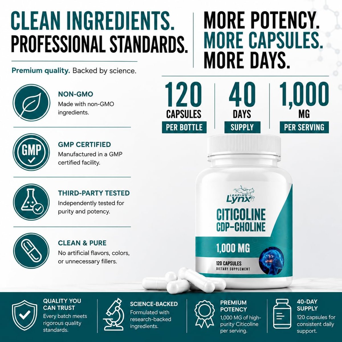 Leaping Lynx Citicolin 1000 mg (CDP-Cholin) Kapseln – 120 Stück – CDP-Cholin Nahrungsergänzungsmittel für Gehirn, Fokus & Gedächtnisunterstützung – Nootropikum Cholin – Non-GMO, ISO-zertifiziert