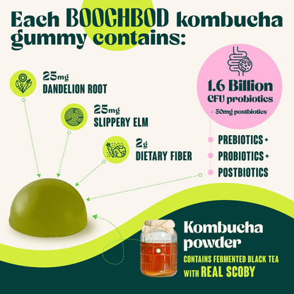 BoochBod Probiotische Kombucha Gummibärchen – Präbiotika, Probiotika, Postbiotika, Ballaststoffe, Ulme, Löwenzahnwurzel – gegen Blähungen und für die Darmgesundheit – für Frauen und Männer – Zitrone-Limette (30 Stück)