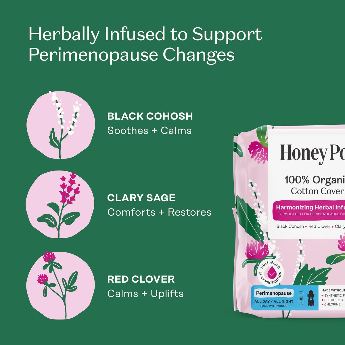 Honey Pot – Perimenopause Binden für den ganzen Tag und die ganze Nacht – 100 % Bio-Baumwoll-Deckblatt – Damenhygiene – Mehrfach-Flüssigkeitsaufnahme – Harmonisierungskräuter mit Traubensilberkerze, Salbei und Rotklee – 11 Stück