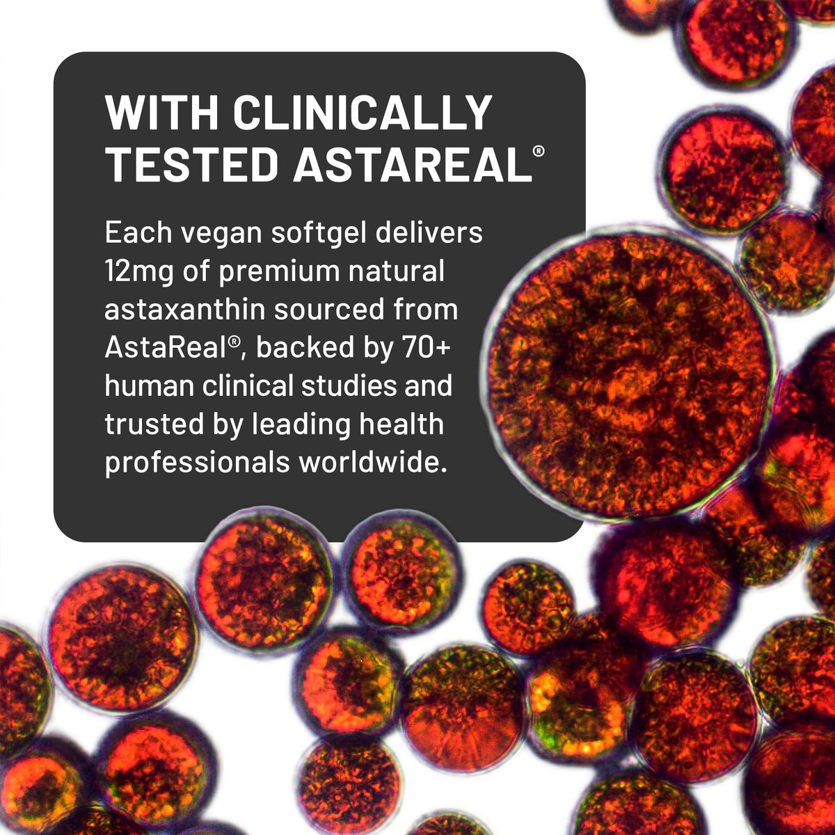 NatureWise Triple Strength Astaxanthin 12mg mit AstaReal® - Veganes Antioxidans mit Bio-Kokosöl - NSF zertifiziert glutenfrei, 60 Weichkapseln [60 Tage Vorrat]