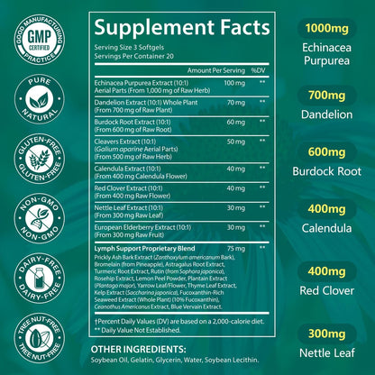 LTQXGT Lymphunterstützung Supplement 60 Softgels – Fortschrittliche botanische Komplex mit Echinacea, Löwenzahn & Holunderbeere – Antioxidantienreiche tägliche Unterstützung