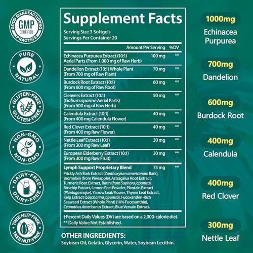 LTQXGT Lymphunterstützung Supplement 60 Softgels – Fortschrittliche botanische Komplex mit Echinacea, Löwenzahn & Holunderbeere – Antioxidantienreiche tägliche Unterstützung