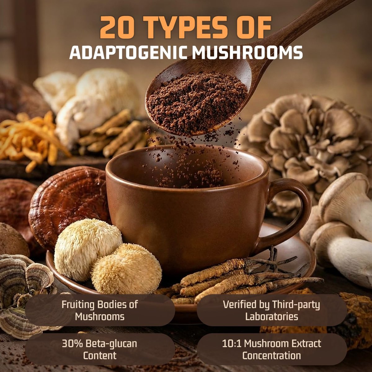 Nature Echo 20-in-1 Pilz-Kaffee mit Ashwagandha | Löwenmähne, Reishi, Cordyceps & mehr - Koffeinarmes Instant-Kaffeepulver für Fokus, Energie, Immun- und Darmunterstützung | 2,5 Unzen | Zuckerfrei