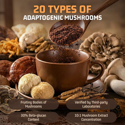Nature Echo 20-in-1 Pilz-Kaffee mit Ashwagandha | Löwenmähne, Reishi, Cordyceps & mehr - Koffeinarmes Instant-Kaffeepulver für Fokus, Energie, Immun- und Darmunterstützung | 2,5 Unzen | Zuckerfrei