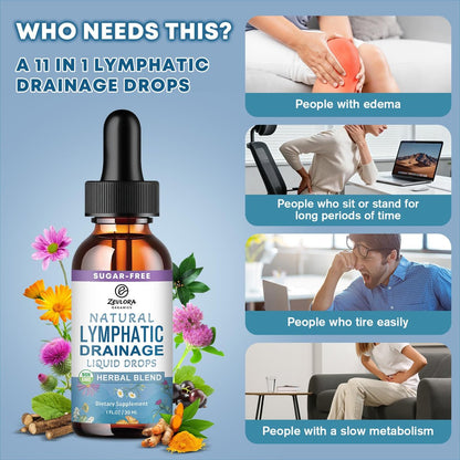 Lymphatische Drainage Unterstützungstropfen – Fortschrittliche 11-in-1 Kräuterextrakt-Formel mit Echinacea, Löwenzahn, Holunderbeere & Mariendistel – Flüssigkeit für Flüssigkeitshaushalt & gesunde Durchblutung – 30 ml