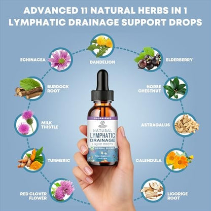 Lymphatische Drainage Unterstützungstropfen – Fortschrittliche 11-in-1 Kräuterextrakt-Formel mit Echinacea, Löwenzahn, Holunderbeere & Mariendistel – Flüssigkeit für Flüssigkeitshaushalt & gesunde Durchblutung – 30 ml