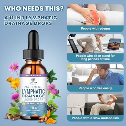 Lymphatische Drainage Unterstützungstropfen – Fortschrittliche 11-in-1 Kräuterextrakt-Formel mit Echinacea, Löwenzahn, Holunderbeere & Mariendistel – Flüssigkeit für Flüssigkeitshaushalt & gesunde Durchblutung – 30 ml