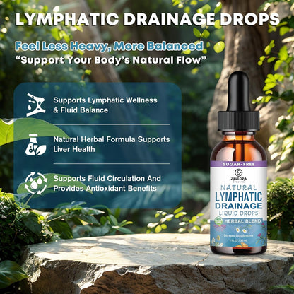 Lymphatische Drainage Unterstützungstropfen – Fortschrittliche 11-in-1 Kräuterextrakt-Formel mit Echinacea, Löwenzahn, Holunderbeere & Mariendistel – Flüssigkeit für Flüssigkeitshaushalt & gesunde Durchblutung – 30 ml