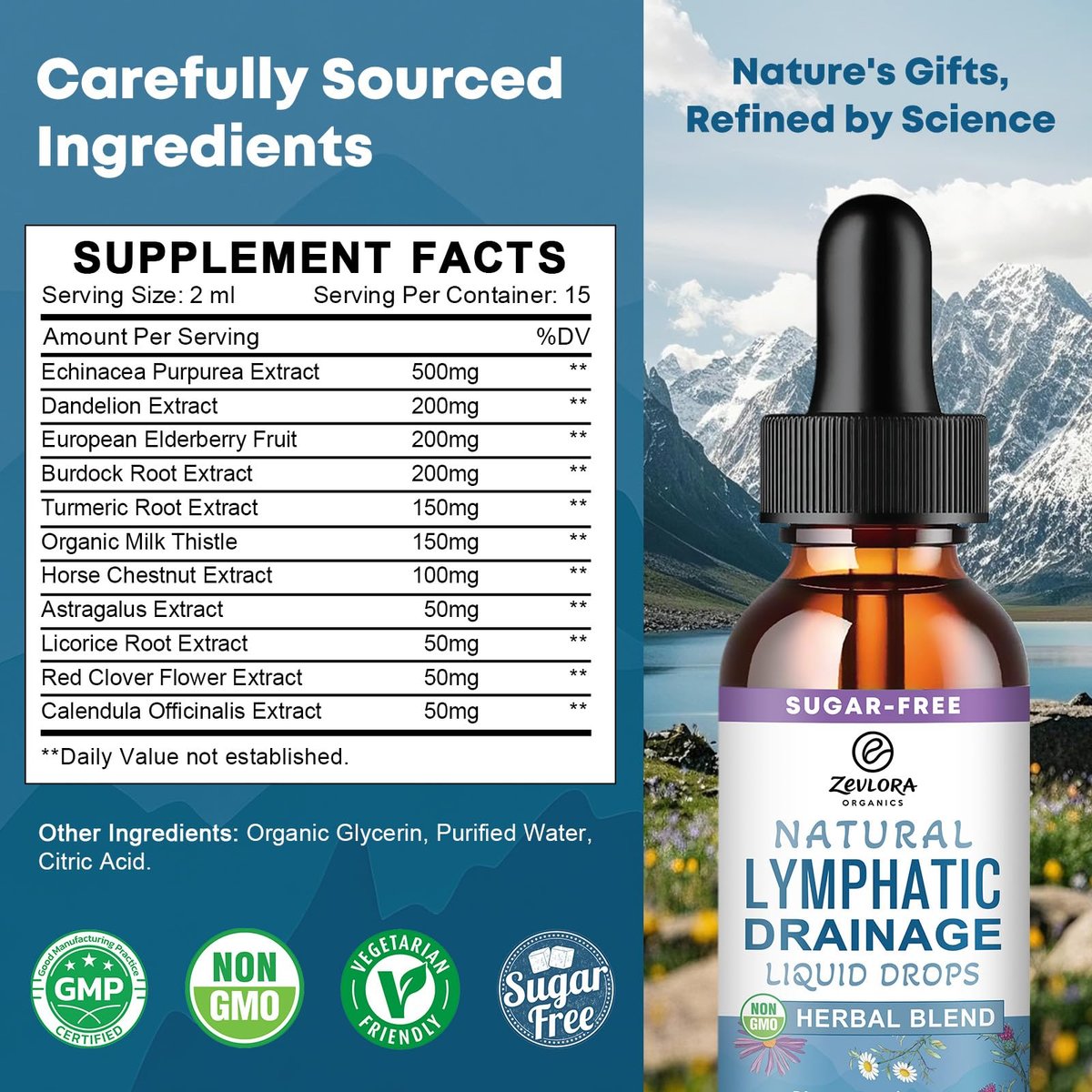 Lymphatische Drainage Unterstützungstropfen – Fortschrittliche 11-in-1 Kräuterextrakt-Formel mit Echinacea, Löwenzahn, Holunderbeere & Mariendistel – Flüssigkeit für Flüssigkeitshaushalt & gesunde Durchblutung – 30 ml
