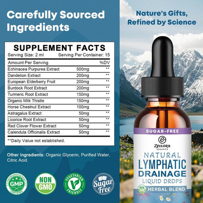 Lymphatische Drainage Unterstützungstropfen – Fortschrittliche 11-in-1 Kräuterextrakt-Formel mit Echinacea, Löwenzahn, Holunderbeere & Mariendistel – Flüssigkeit für Flüssigkeitshaushalt & gesunde Durchblutung – 30 ml