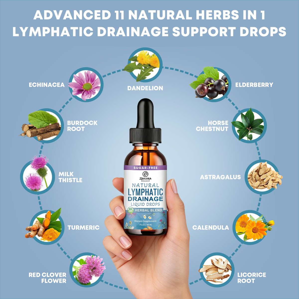 Lymphatische Drainage Unterstützungstropfen – Fortschrittliche 11-in-1 Kräuterextrakt-Formel mit Echinacea, Löwenzahn, Holunderbeere & Mariendistel – Flüssigkeit für Flüssigkeitshaushalt & gesunde Durchblutung – 30 ml