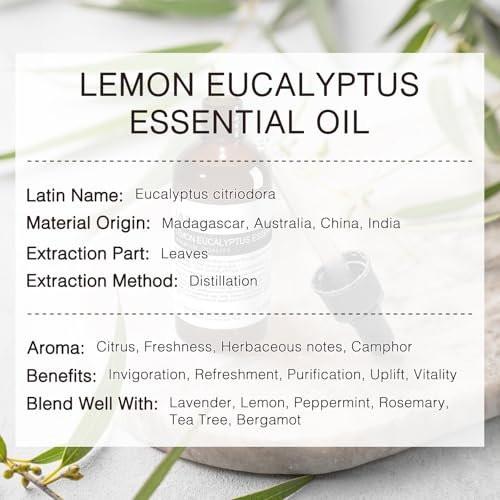 MUNUSNA Zitronen-Eukalyptus ätherisches Öl 100 ml, 100% reines Zitronen-Eukalyptusöl Aromatherapieöl für Diffuser, Hautpflege, Massage, Yoga, Zuhause, Seifen- und Kerzenherstellung