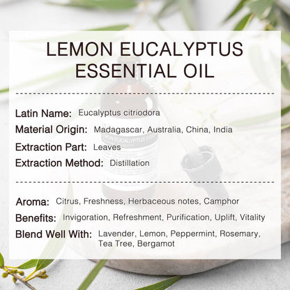 MUNUSNA Zitronen-Eukalyptus ätherisches Öl 100 ml, 100% reines Zitronen-Eukalyptusöl Aromatherapieöl für Diffuser, Hautpflege, Massage, Yoga, Zuhause, Seifen- und Kerzenherstellung