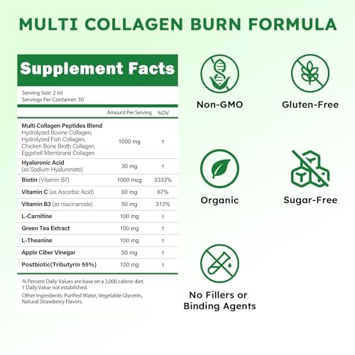 Scibalia Liquid Collagen für Frauen – GLP-freundliches 10-in-1 Multi-Kollagen mit Hyaluronsäure, Biotin, Grüntee & ACV – Hydrolysierte Kollagen-Tropfen für Verdauung, Hautgesundheit & Haarwachstum