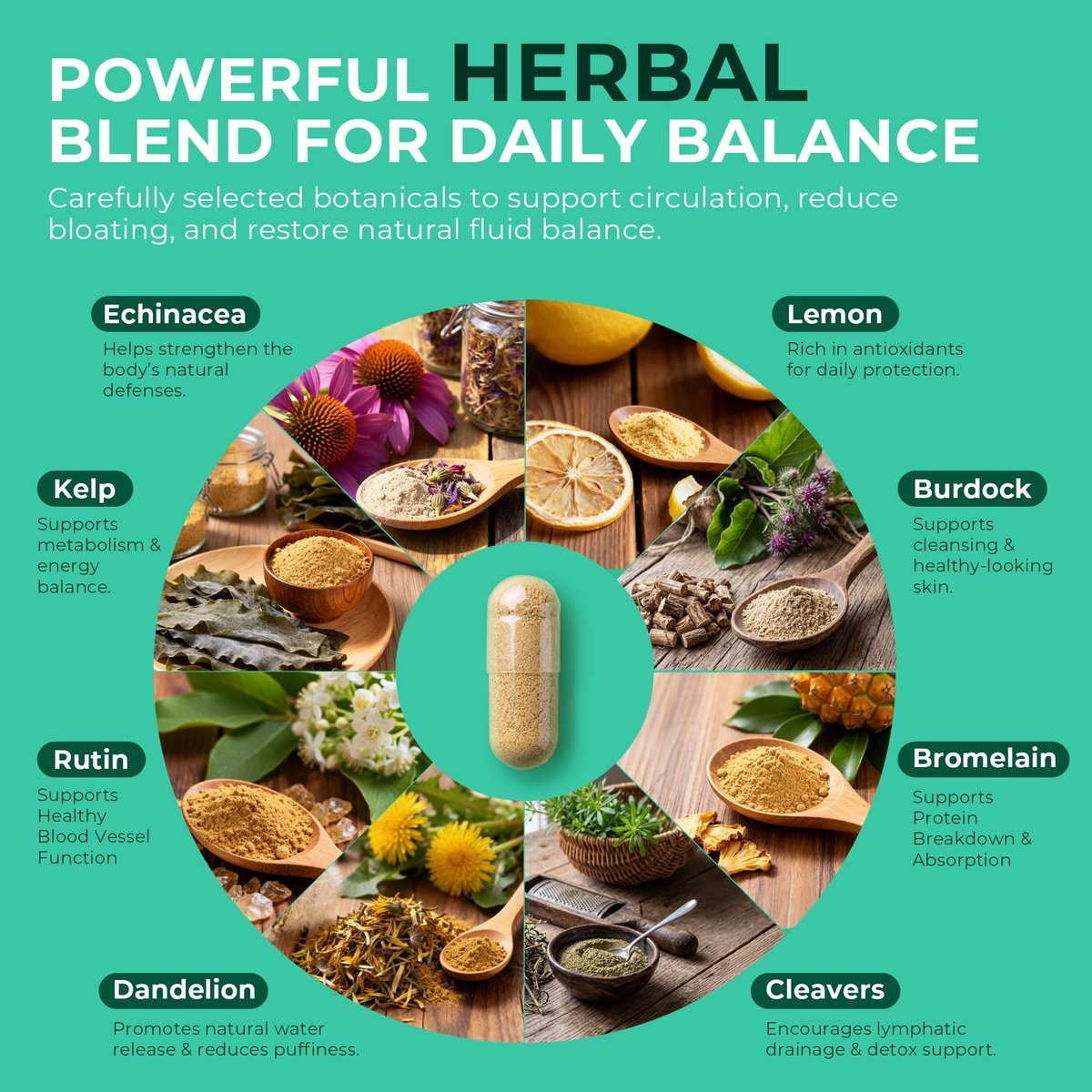 Paradise Emerald Lymphatisches Drainage-Supplement: Natürlicher Kräuterkomplex mit Echinacea, Klettenwurzel, Löwenzahn und Cleavers – Lymphsystem-Unterstützung für Entblähung, Immunität und Flüssigkeitsbalance – 60 Kapseln